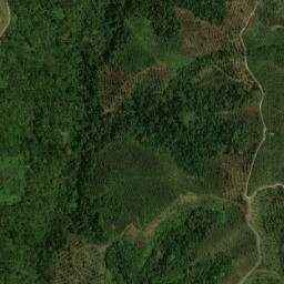 Satellite imagery of Alto El Toronjo, CO