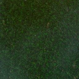 Satellite imagery of Cerro el Lloron, CO