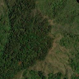 Satellite imagery of Cerro Venado, CO