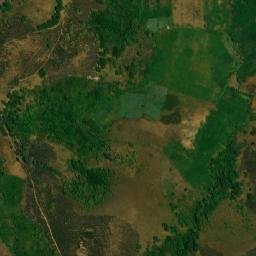 Satellite imagery of Kwifo, CM