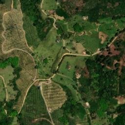 Satellite imagery of La Mama, CO