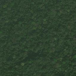 Satellite imagery of Nchamba, CM
