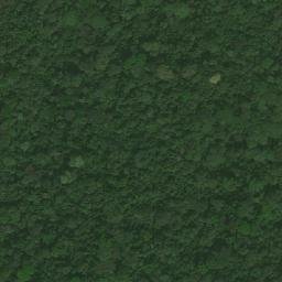 Satellite imagery of Nchamba, CM