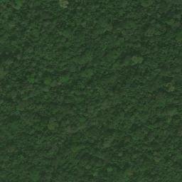 Satellite imagery of Nchamba, CM