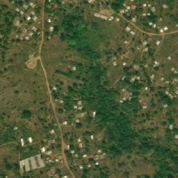 Satellite imagery of Tieuche Nki, CM