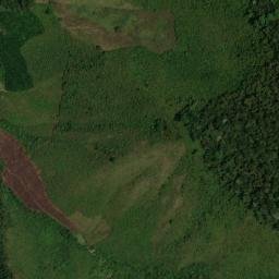 Satellite imagery of Cerro La Dedorra, CO