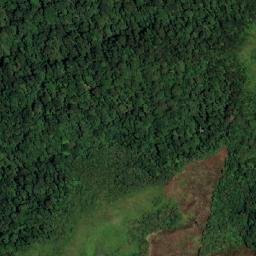 Satellite imagery of Alto Perico, CO