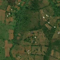 Satellite imagery of Tsang, CM