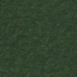 Satellite imagery of B 491, CM
