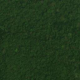 Satellite imagery of Ntale, CM