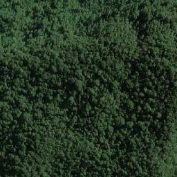Satellite imagery of Gle Cut, ID