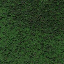 Satellite imagery of BG-10, BR