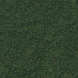 Satellite imagery of Ewani, CM