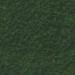 Satellite imagery of Ewani, CM