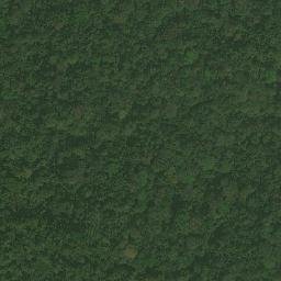 Satellite imagery of Ewani, CM