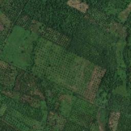 Satellite imagery of Cot Perelak, ID