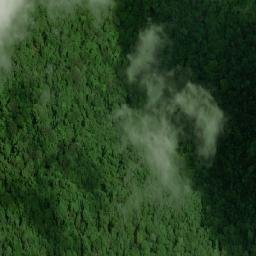 Satellite imagery of Wupaima Mountain, BR