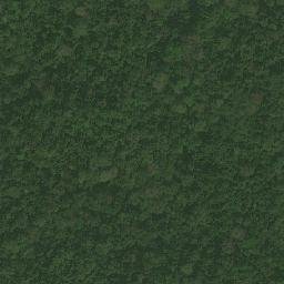 Satellite imagery of Ewani, CM