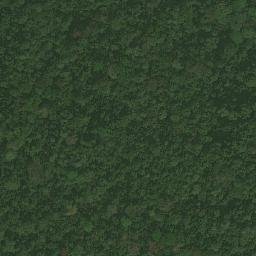 Satellite imagery of Ewani, CM