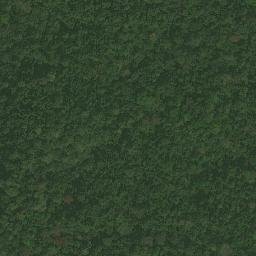 Satellite imagery of Ewani, CM
