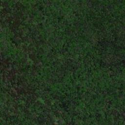 Satellite imagery of Mount Yakontipu, BR