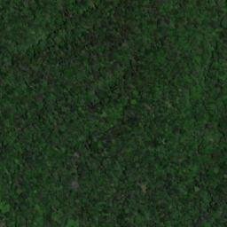 Satellite imagery of Mount Yakontipu, BR