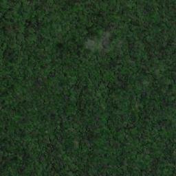 Satellite imagery of Mount Yakontipu, BR