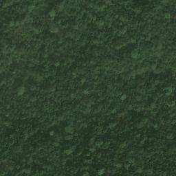 Satellite imagery of Bangwa, CM