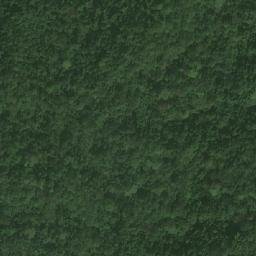 Satellite imagery of Bangwa, CM