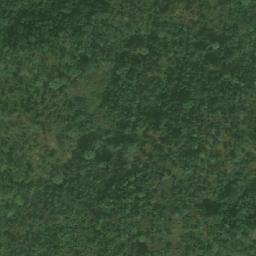 Satellite imagery of Bangwa, CM