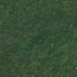 Satellite imagery of Bangwa, CM