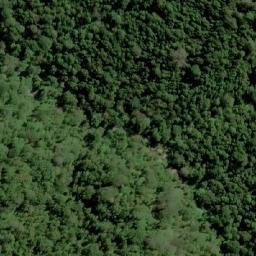 Satellite imagery of Gle Halimun, ID