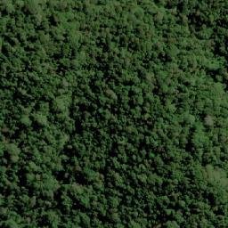 Satellite imagery of Gle Halimun, ID
