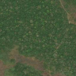 Satellite imagery of Mont Lo, CM