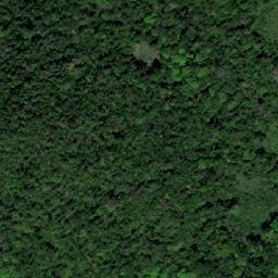 Satellite imagery of Rio Maú, BR