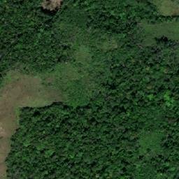 Satellite imagery of Rio Maú, BR