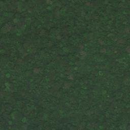Satellite imagery of Téman, CM
