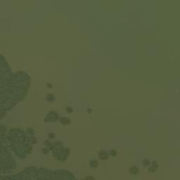 Satellite imagery of Partridge Point, NG