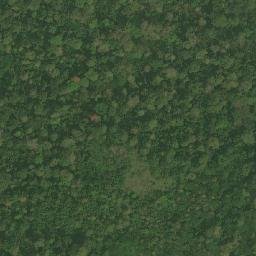 Satellite imagery of Tama, CM