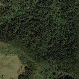 Satellite imagery of Cuchilla de Cerro Bravo, CO