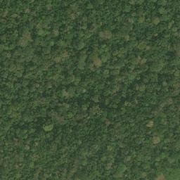 Satellite imagery of Tama, CM