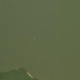Satellite imagery of Seine Point, NG