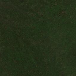 Satellite imagery of Alto Pizco, CO