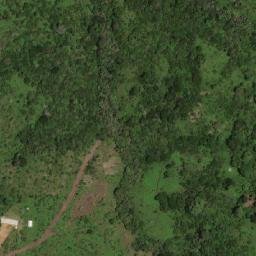 Satellite imagery of B 335, CM