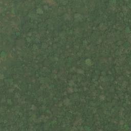 Satellite imagery of Nkang, CM