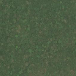 Satellite imagery of Nkang, CM