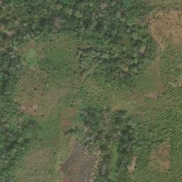 Satellite imagery of Mont Koroutou, CM