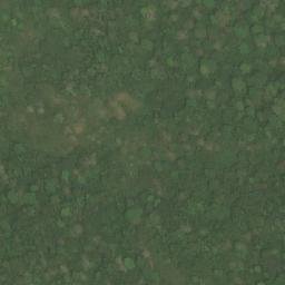 Satellite imagery of Song Emanga, CM