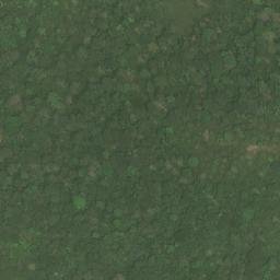 Satellite imagery of Song Emanga, CM