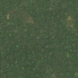 Satellite imagery of Song Emanga, CM